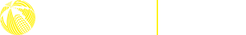 Corporate Challenge Wellington
